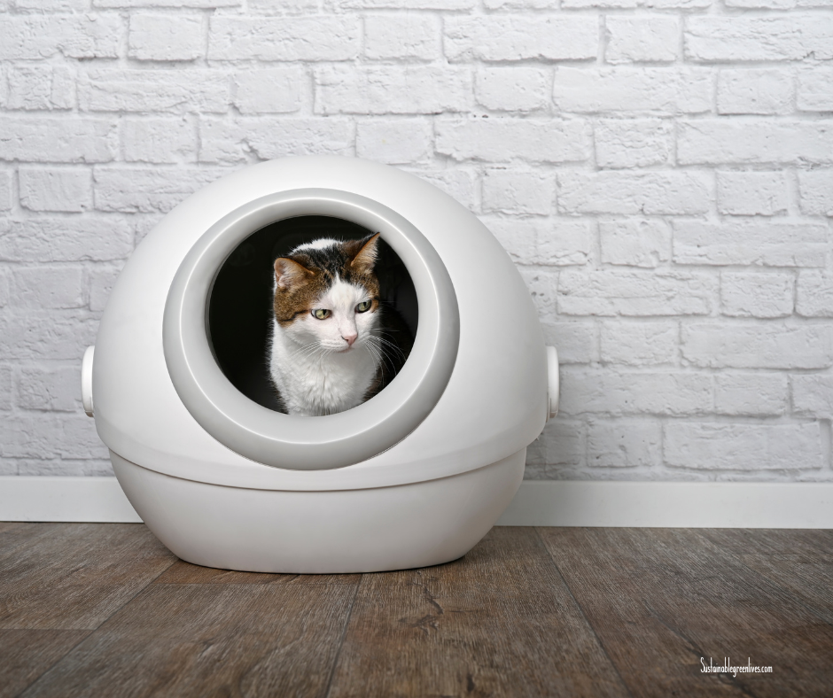 A calico cat sits inside a white, modern, spherical cat bed with a circular opening. The bed is positioned against a white brick wall. The floor is made of wood. The cat looks out from the bed with an alert expression. A calico cat sits inside a white, modern, spherical cat bed with a circular opening. The bed is positioned against a white brick wall. The floor is made of wood. The cat looks out from the bed with an alert expression.