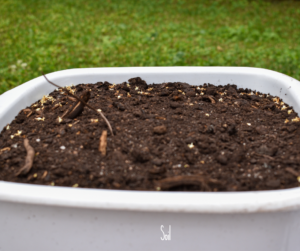 Soil-in-container