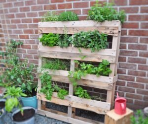 pallet-garden2