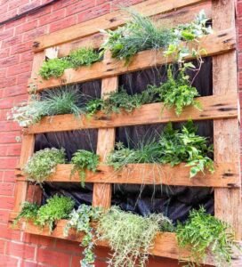 pallet-herb-garden