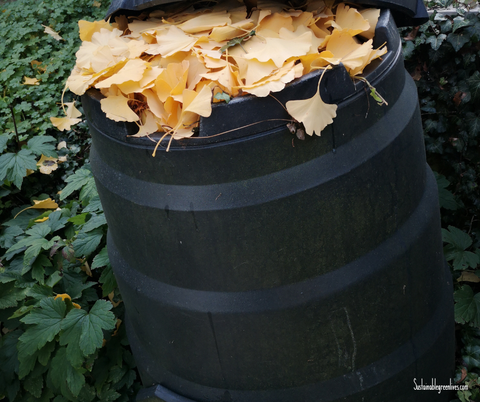 A black compost bin is open and filled with yellow leaves. Green foliage surrounds the bin, and a few leaves are scattered on the ground nearby. A black compost bin is open and filled with yellow leaves. Green foliage surrounds the bin, and a few leaves are scattered on the ground nearby.