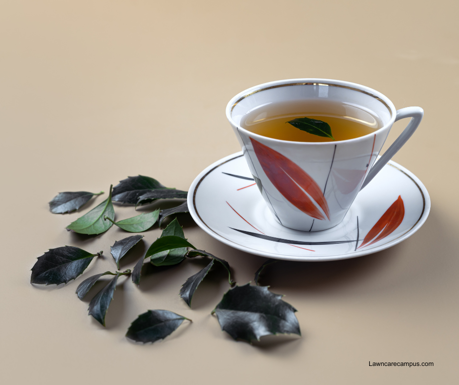 A white teacup with a red and black leaf design, filled with tea, sits on a saucer. Next to it are several detached green leaves arranged on a beige surface. A white teacup with a red and black leaf design, filled with tea, sits on a saucer. Next to it are several detached green leaves arranged on a beige surface.